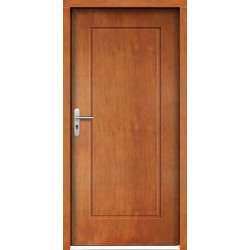 Venkovní vchodové dveře P96