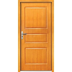 Venkovní vchodové dveře P1