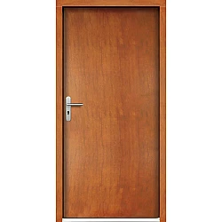 Venkovní vchodové dveře P18