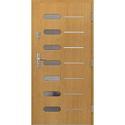 Venkovní vchodové dveře P64