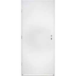 Plechové dveře, bílý (RAL 9016)