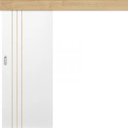 Posuvné dveře na stěnu INTERSIE LUX DUB